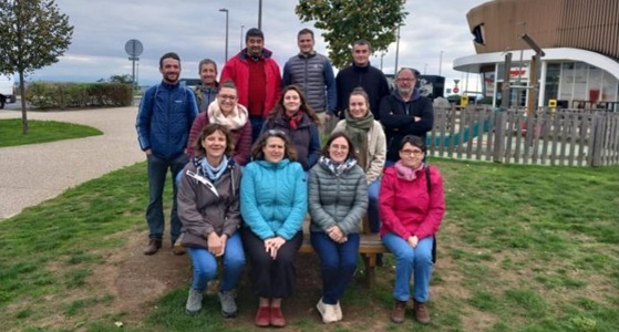 Avancer ensemble-Ovins